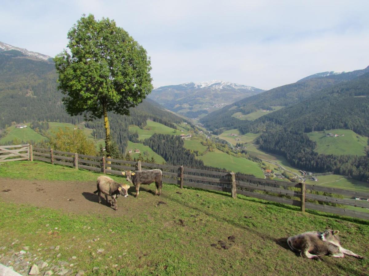 Oeberst-Hof Apartment Sarentino Luaran gambar